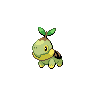 Turtwig
