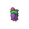 Cherrim