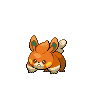 Pawmi